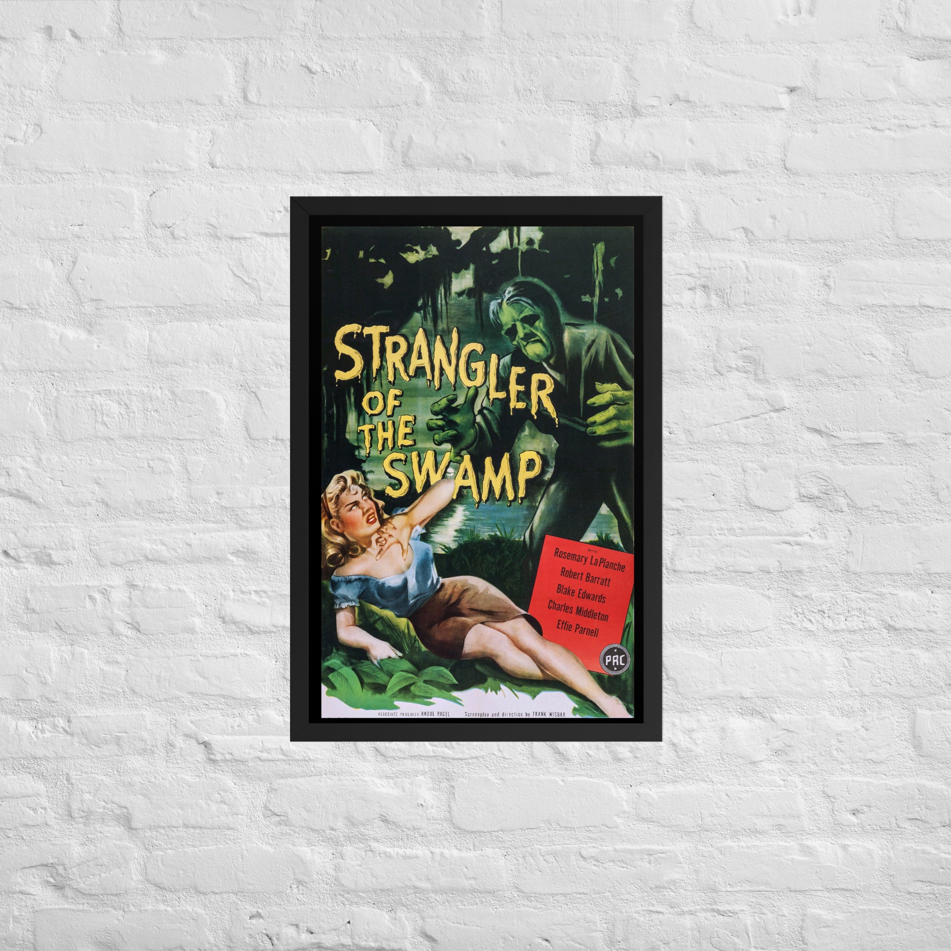 a framed poster of the vintage horror movie strangler of the swamp