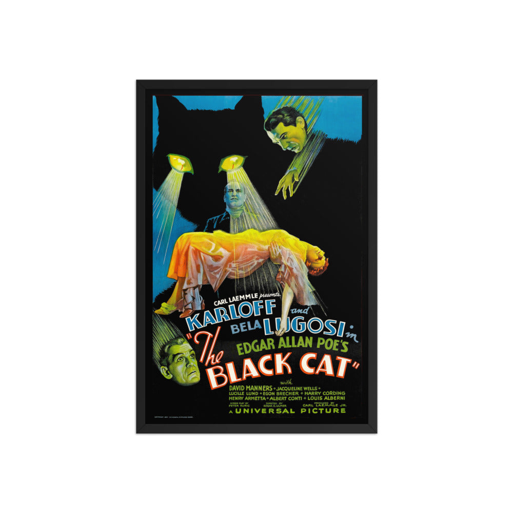 a large framed poster for the vintage horror movie "the black cat"