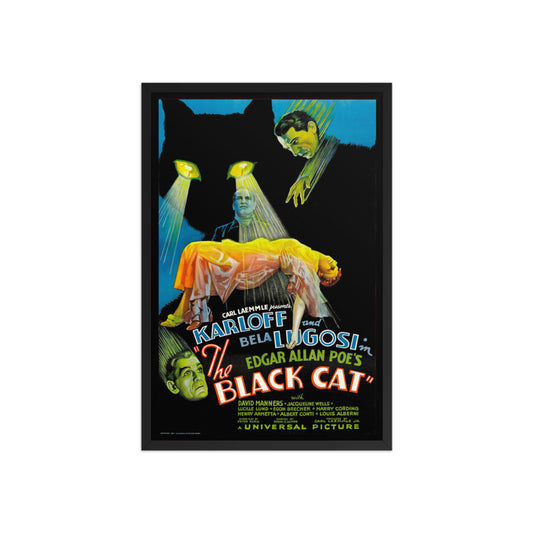 a large framed poster for the vintage horror movie "the black cat" 